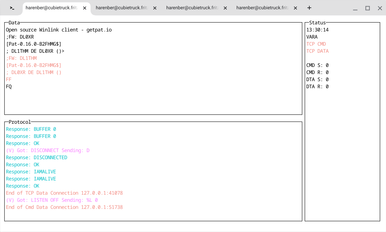 Screenshot showing a terminal with a session